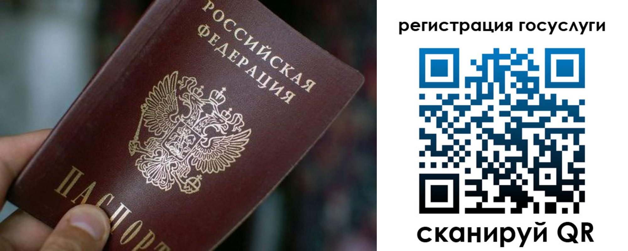 временная прописка в Чкаловске